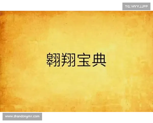 筑梦之翼:轻盈翱翔攻略宝典 筑梦之翼:轻盈翱翔攻略宝典