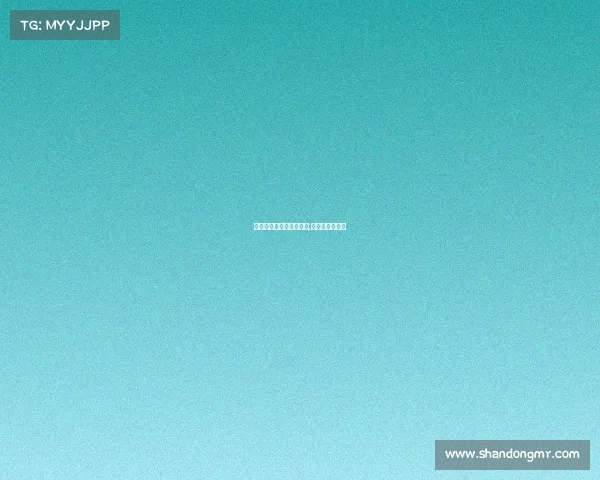 俄罗斯电子竞技中的方块;俄罗斯方块电脑